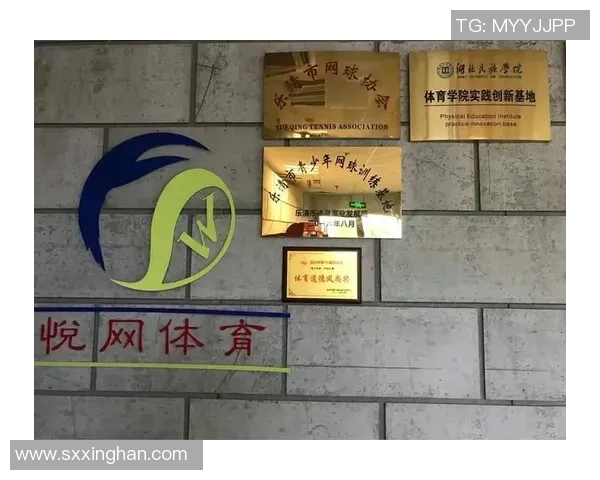 上海网球队进攻体系解析：网球战术的创新与实践探讨