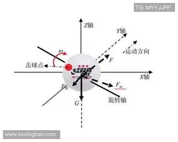 武汉乒乓球队与西安乒乓球队赛后战术分析与总结探讨 武汉乒乓球队与西安乒乓球队赛后战术分析与总结探讨