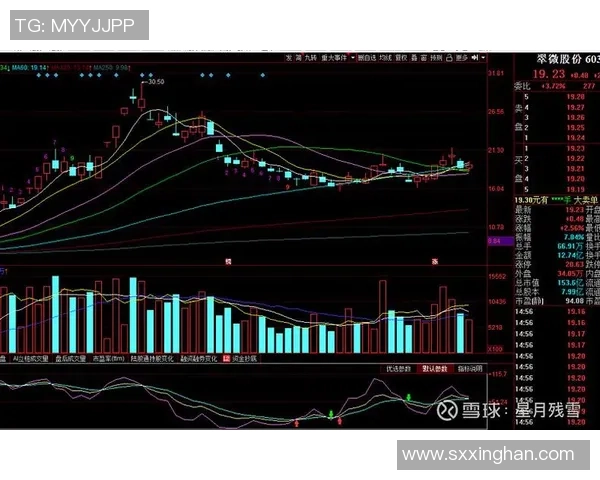 足球黑铁塔的崛起与挑战解析：如何在激烈竞争中保持领先地位