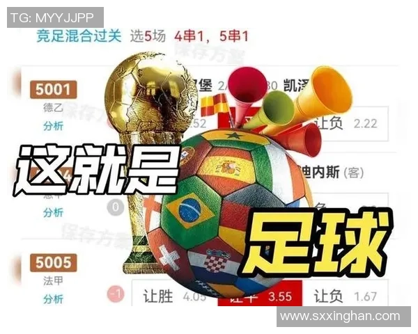 全球足球赛事全景解析与精彩回顾尽在此处