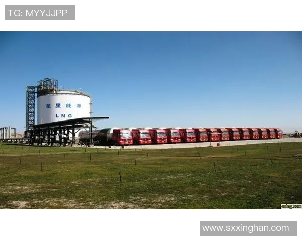 国际邀请赛特别报道:LNG战队的崛起与突破之路全景回顾