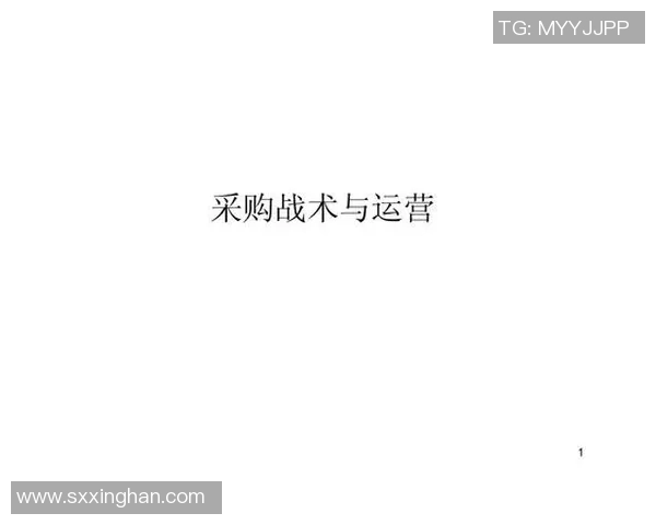 深圳网球队战术解析与运营体系的创新与发展探讨