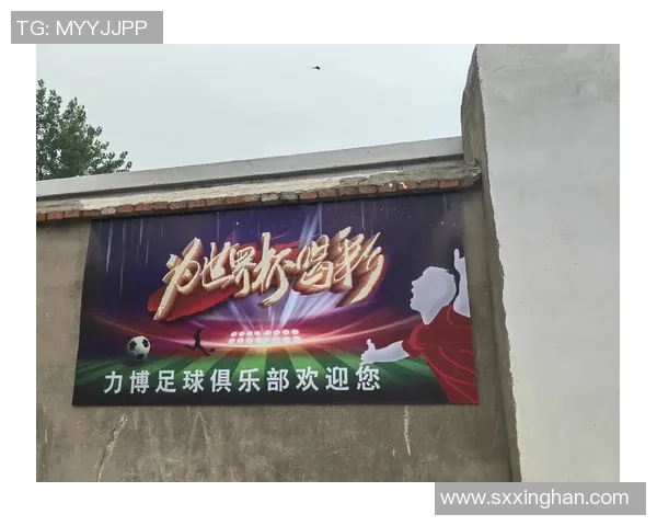 漫说足球：从绿茵场上的激情到球迷心中的梦想之旅