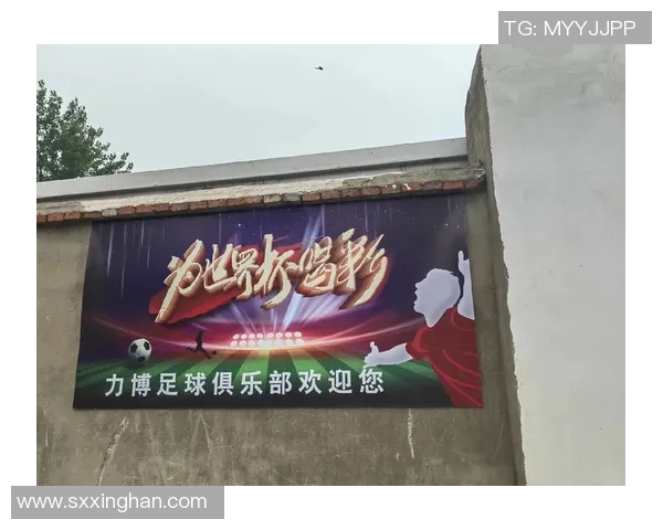 追寻足球梦的旅程与激情在绿茵场上的绽放与成长