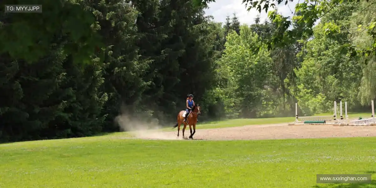 📡 无缝连接，不错过任何精彩瞬间！🌟