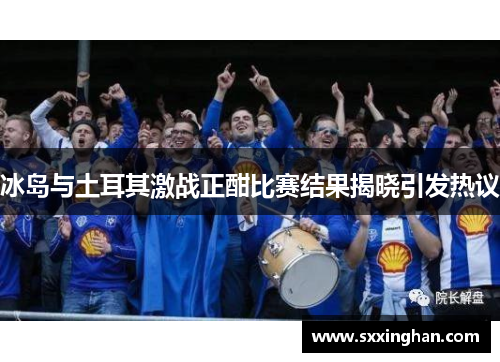 冰岛与土耳其激战正酣比赛结果揭晓引发热议
