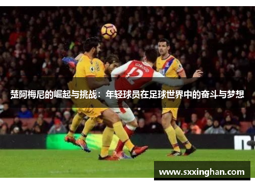 楚阿梅尼的崛起与挑战：年轻球员在足球世界中的奋斗与梦想