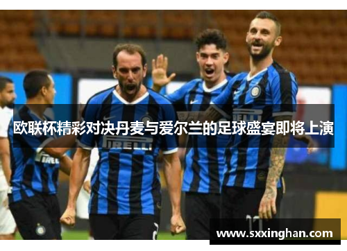 欧联杯精彩对决丹麦与爱尔兰的足球盛宴即将上演